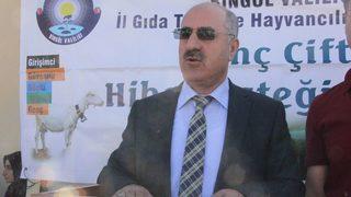 Bingöl’de 42 Genç Çiftçiye 252 Büyük Baş Hayvan Hibe Edildi