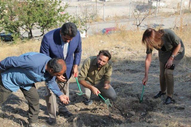 Nevşehir Kalesi’nde Arkeolojik Kazı Çalışmaları Başladı