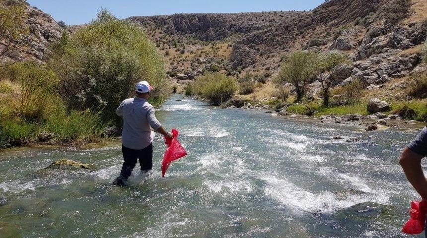 Başkan Güven Hurman Nehrinde Temizlik Yaptı