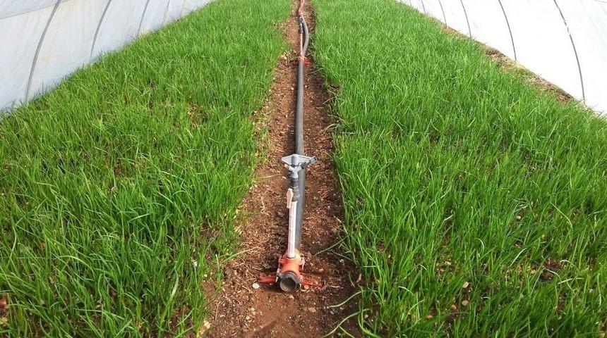 Ady&uuml;tayam Organik &Uuml;r&uuml;n Yetiştirmeye Başladı