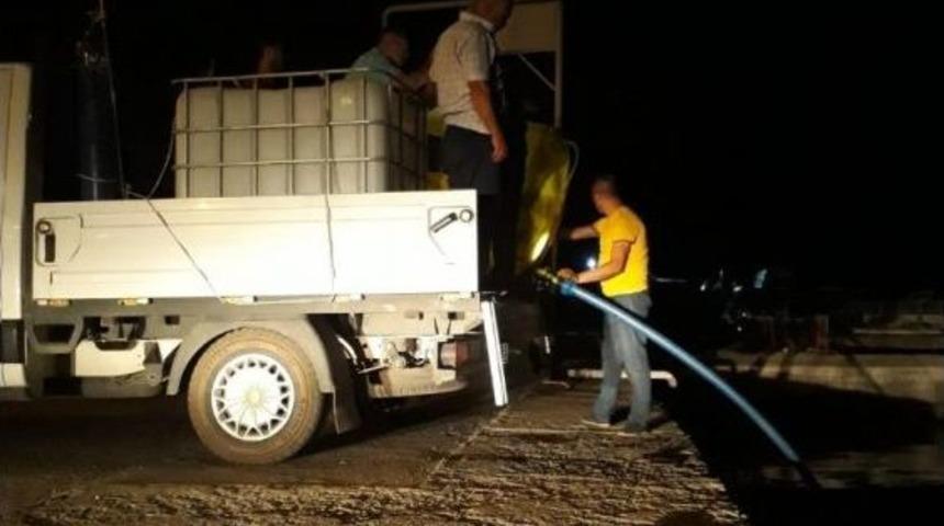 Eğirdir Gölü’ne 150 Bin Yavru Sazan Balığı Salındı