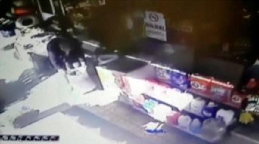 Ceviz Hırsızı Yakalandı