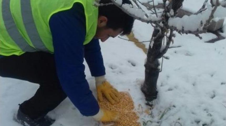 Başkan &Ouml;zg&uuml;ven: &ldquo;hayvanları Sevelim Ve Her Zaman Korumaya &Ouml;zen G&ouml;sterelim&rdquo;