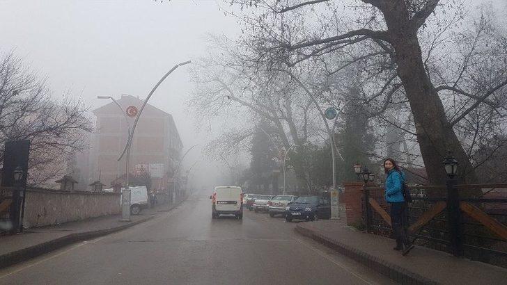 Bartın’da Yoğun Sis Hayatı Olumsuz Etkiliyor G1