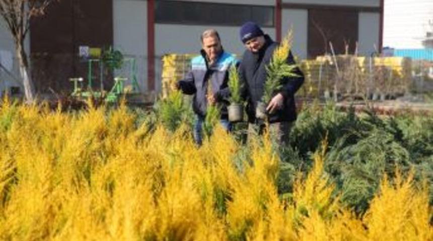 Daha Yeşil Bir Nilüfer İçin