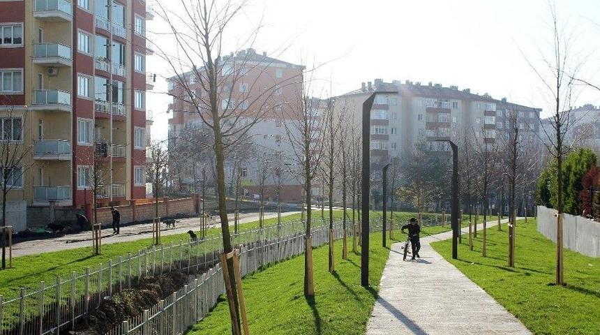 Atmaca Vadisi Yeşillendirildi