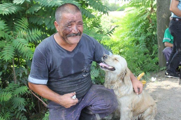 İşçilerin Sahiplendiği Köpek, Atık Fabrikasında Çıkan Yangında Tahliye Görevlisi Gibi Çalıştı G3