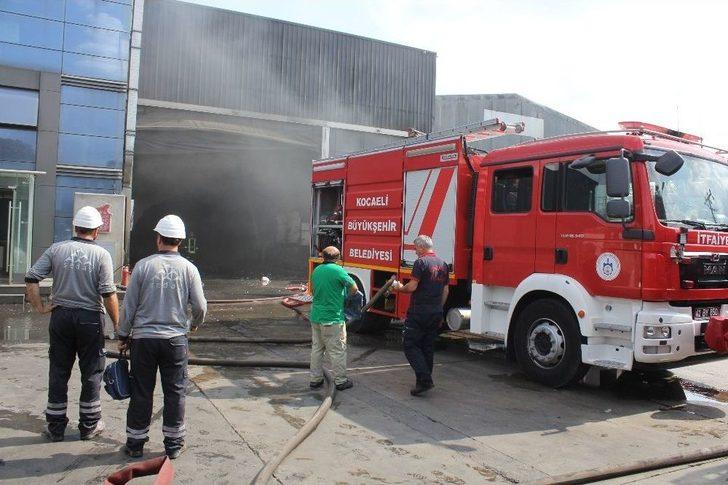 İşçilerin Sahiplendiği Köpek, Atık Fabrikasında Çıkan Yangında Tahliye Görevlisi Gibi Çalıştı G4