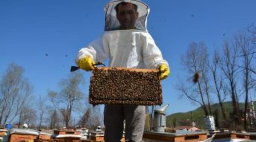 Ordulu Arıcılardan &lsquo;petekli Bal&rsquo; Tepkisi