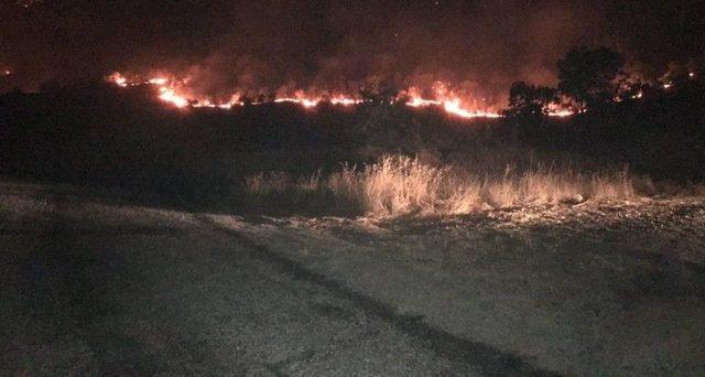 Irak Sınırında Orman Yangını