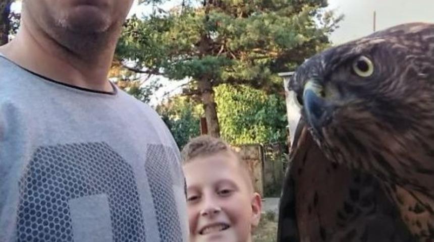 Kümesine Dadanan Şahini Yakalayıp Yetkililere Teslim Etti