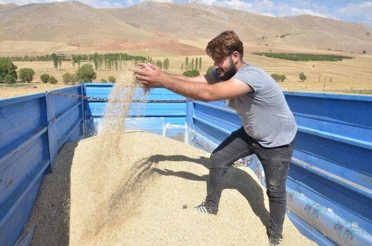 Elbistan’da ‘astronot Gıdası’ Kinoanın İlk Hasadı Yapıldı G4