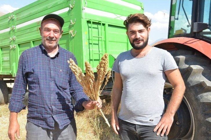 Elbistan’da ‘astronot Gıdası’ Kinoanın İlk Hasadı Yapıldı G5