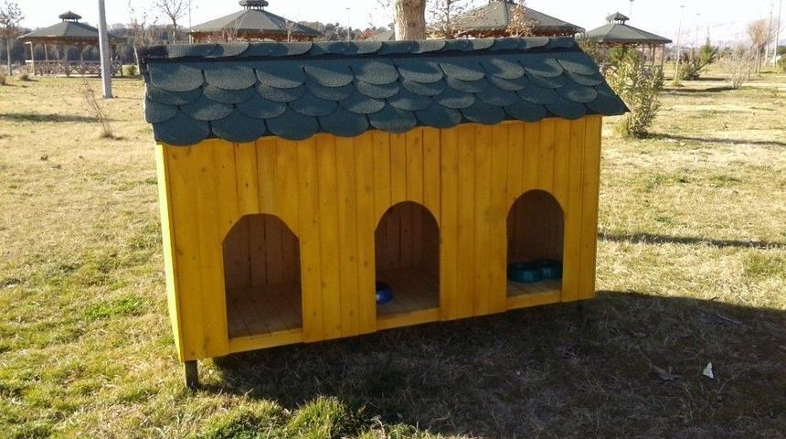 Sokak Hayvanları &Uuml;ş&uuml;meyecek