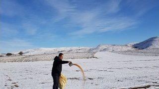 Aç Kalan Kuşlar İçin 85 Kilometre Giderek Aralıklarla Yem Bıraktı