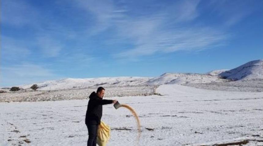 Aç Kalan Kuşlar İçin 85 Kilometre Giderek Aralıklarla Yem Bıraktı