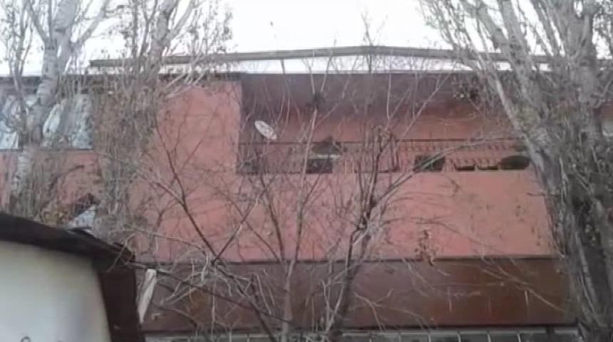 Ağa&ccedil;ta Sıkışan Kediyi T&uuml;rkmen Gen&ccedil; Kurtardı