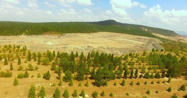 Kütahya’da Eski Maden Sahaları Ağaçlandırılıyor