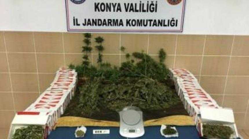 Konya&rsquo;da Jandarmadan Uyuşturucu Operasyonu