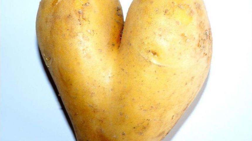 Kalp Görünümlü Patates Şaşırttı