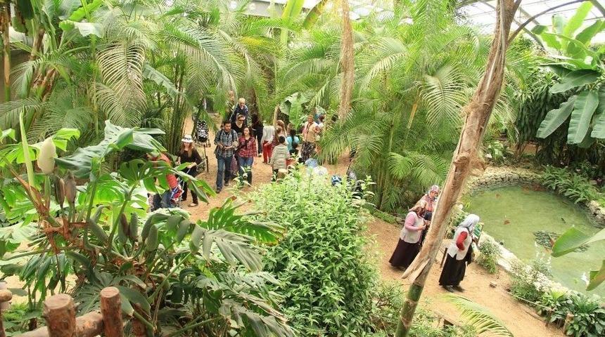 Soğuk Kış G&uuml;nlerine İnat Burada D&ouml;rt Mevsim Yaz