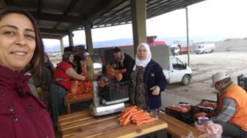 Soğuk Hava Deposu İsrafı &Ouml;nledi