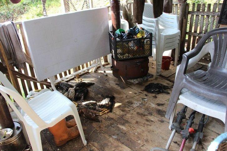 Ordu’da Metrekareye 108 Kilo Yağmur Düştü G1