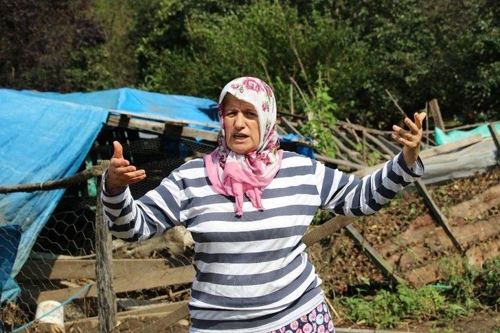 Ordu’da Metrekareye 108 Kilo Yağmur Düştü G3