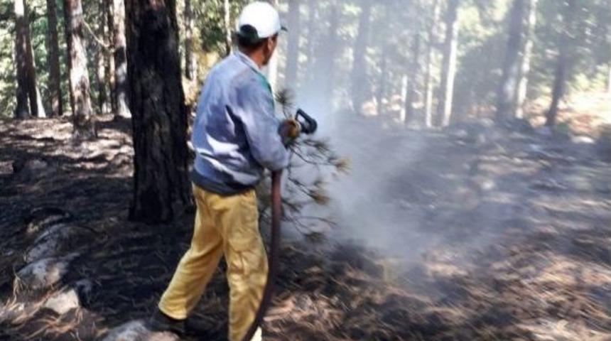 Edremit Orman&rsquo;ın Hızlı M&uuml;dahalesi Orman Yangınını &Ouml;nledi