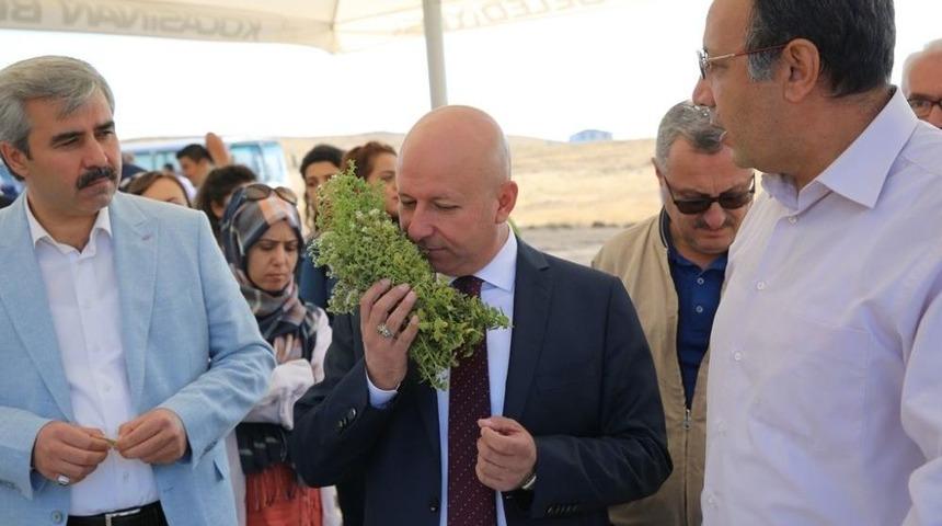 &Ccedil;olakbayrakdar, &ldquo;kayseri Tarım Şehri Olarak Anılacaksa Bunun Yolu Kocasinan&rsquo;dan Ge&ccedil;er&rdquo;