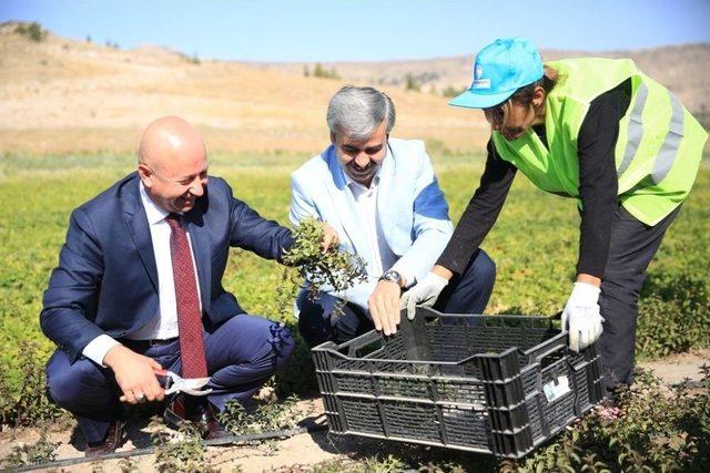 Çolakbayrakdar, “kayseri Tarım Şehri Olarak Anılacaksa Bunun Yolu Kocasinan’dan Geçer”