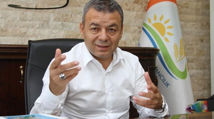 Antalya&rsquo;da Avokado &Uuml;retimi 10 Yılda 12 Kat Arttı