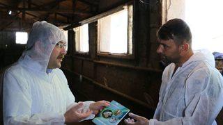 Karayollarında Kurbanlıklara Sıkı Denetim