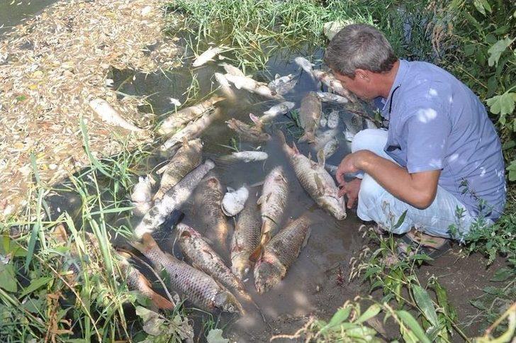 Üst Üste Yaşanan Balık Ölümleri Korkutuyor G5