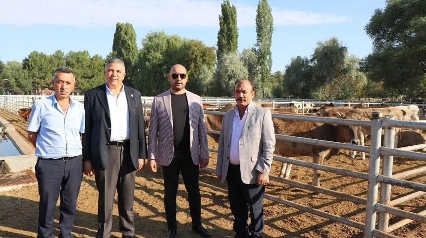 Ktb Başkanı Bağlamış, "yerli Kurban Alarak &Uuml;reticilere Destek Verin"