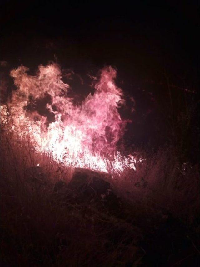 Çukurca’daki Orman Yangını Kontrol Altına Alındı 1