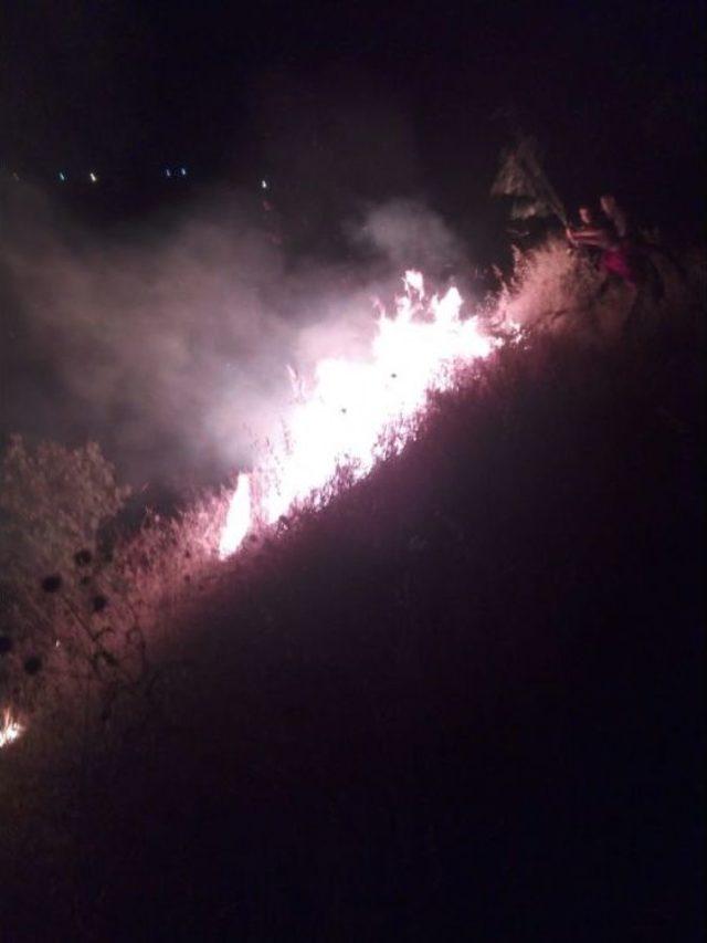 Çukurca’daki Orman Yangını Kontrol Altına Alındı 2