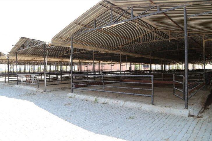 Efeler Kurban Bayramına Hazırlanıyor G4