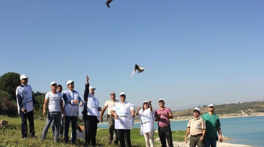 Mersin&rsquo;de Tedavileri Tamamlanan 26 Yaban Hayvanı Doğaya Bırakıldı