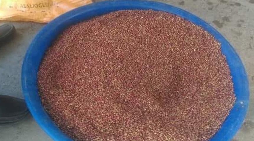 Sumak Ekşisi Kadınların Geçim Kaynağı