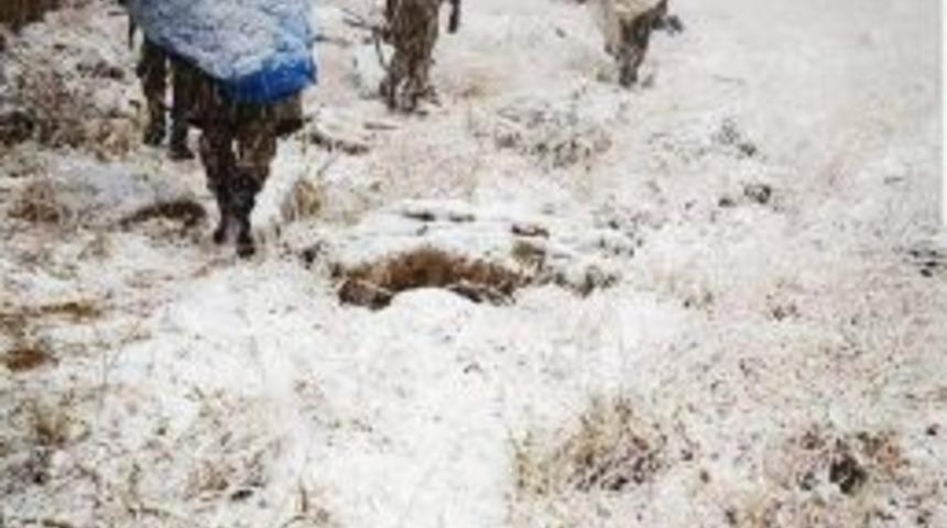 Mehmet&ccedil;ik, Kar Tipi Demiyor