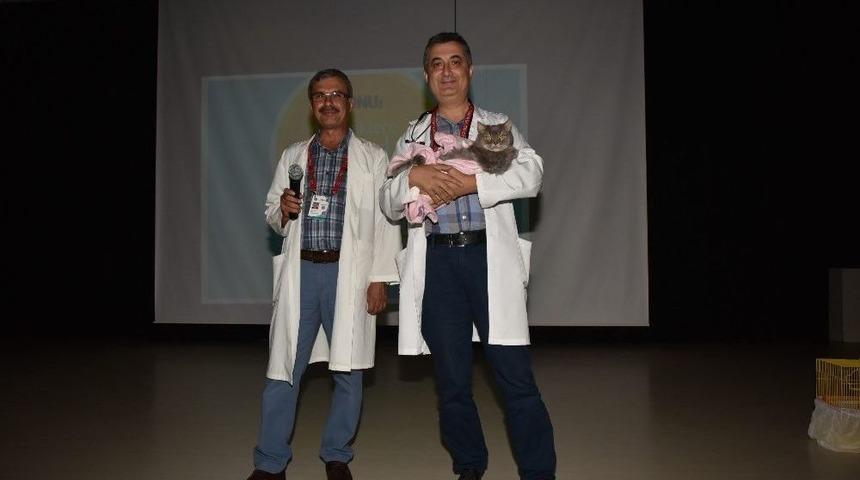 &Ouml;ğrencilere Hayvan Sevgisi Anlatıldı