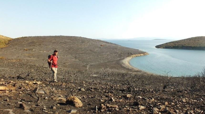Ayvalık’taki Yangınlarda Sabotaj Şüphesi