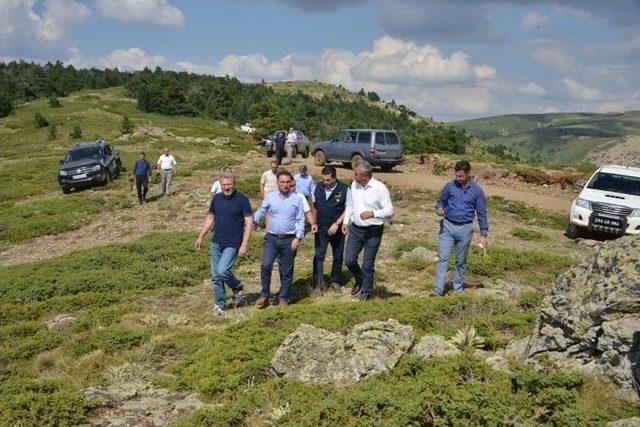 Milletvekili Ve Daire Başkanı, Gediz Muratdağı Termal Turizm Merkezi’nde İncelemelerde Bulundu