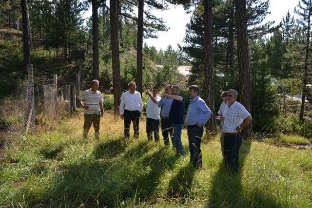 Milletvekili Ve Daire Başkanı, Gediz Muratdağı Termal Turizm Merkezi’nde İncelemelerde Bulundu