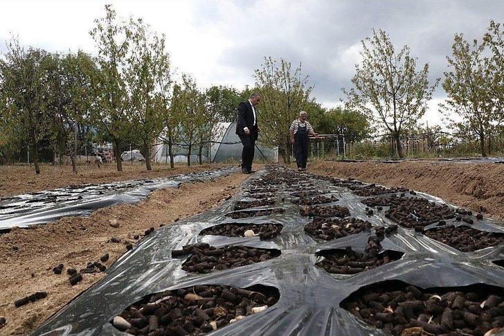 Safran’da Üretim Ve Kalite Arttırma Hedefleri G2