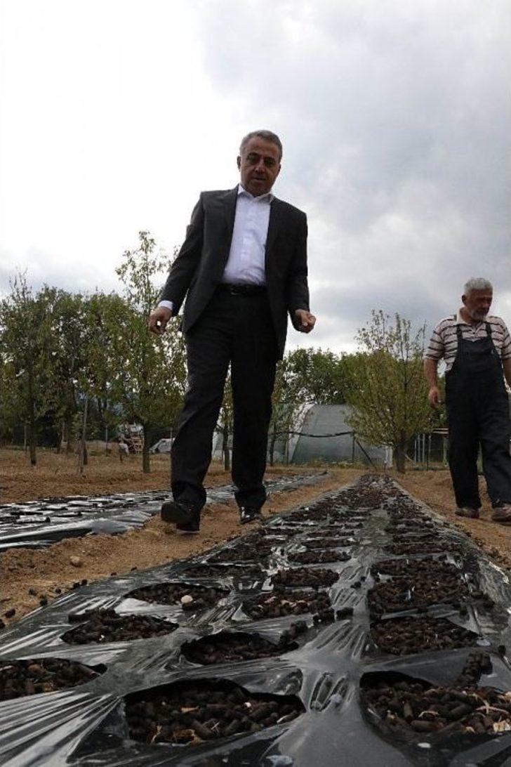 Safran’da Üretim Ve Kalite Arttırma Hedefleri G5