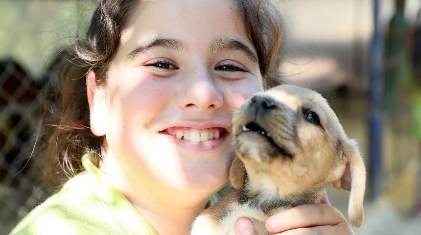 Hayvan Barınağı Ziyaret&ccedil;ilerini Ağırlıyor