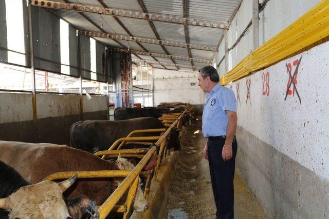 Serdivan’da Kurban Satış Ve Kesim Yerlerini Denetlendi