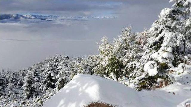 Rize'de Kartpostallık Görüntüler